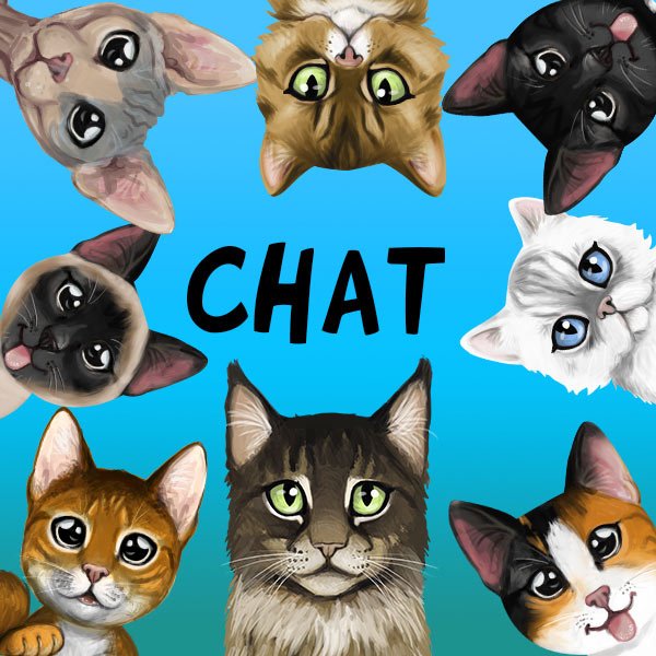 Chat